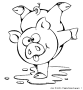 Animali da colorare maialino