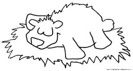 Animali da colorare orso